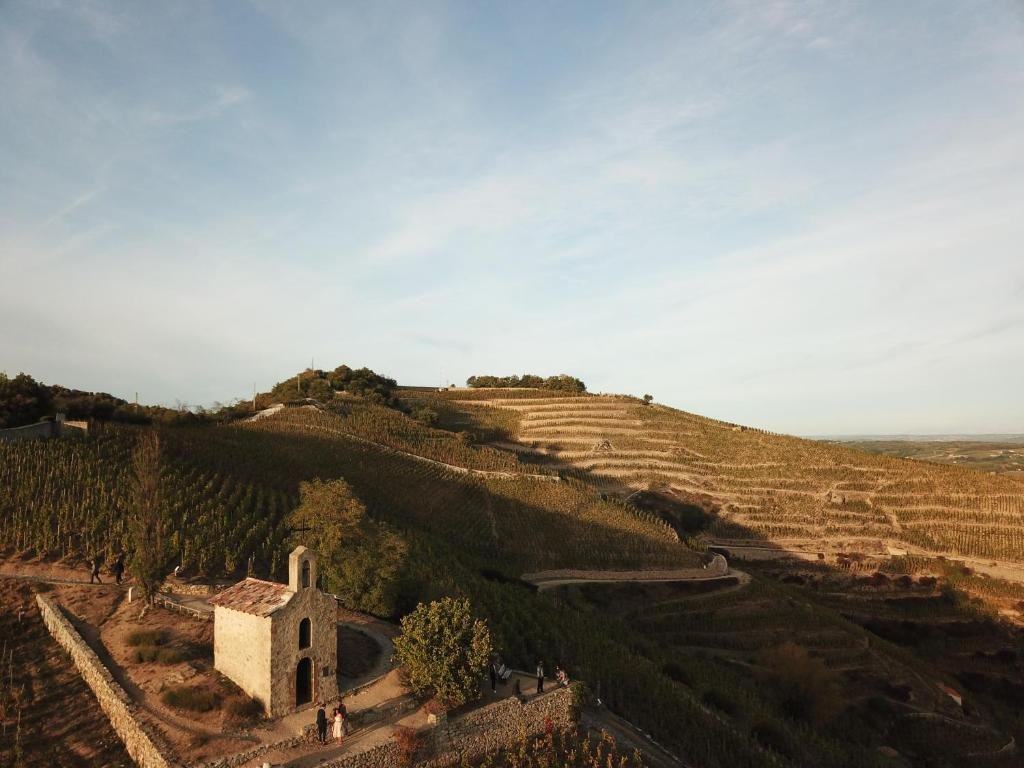 Paysage de la Vallée du Rhône et ses vignobles